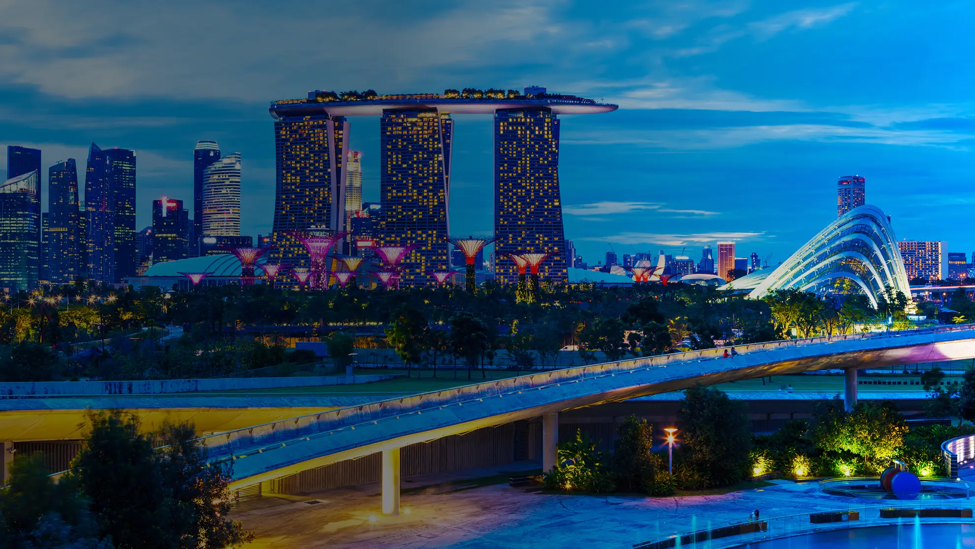 City skyline at night